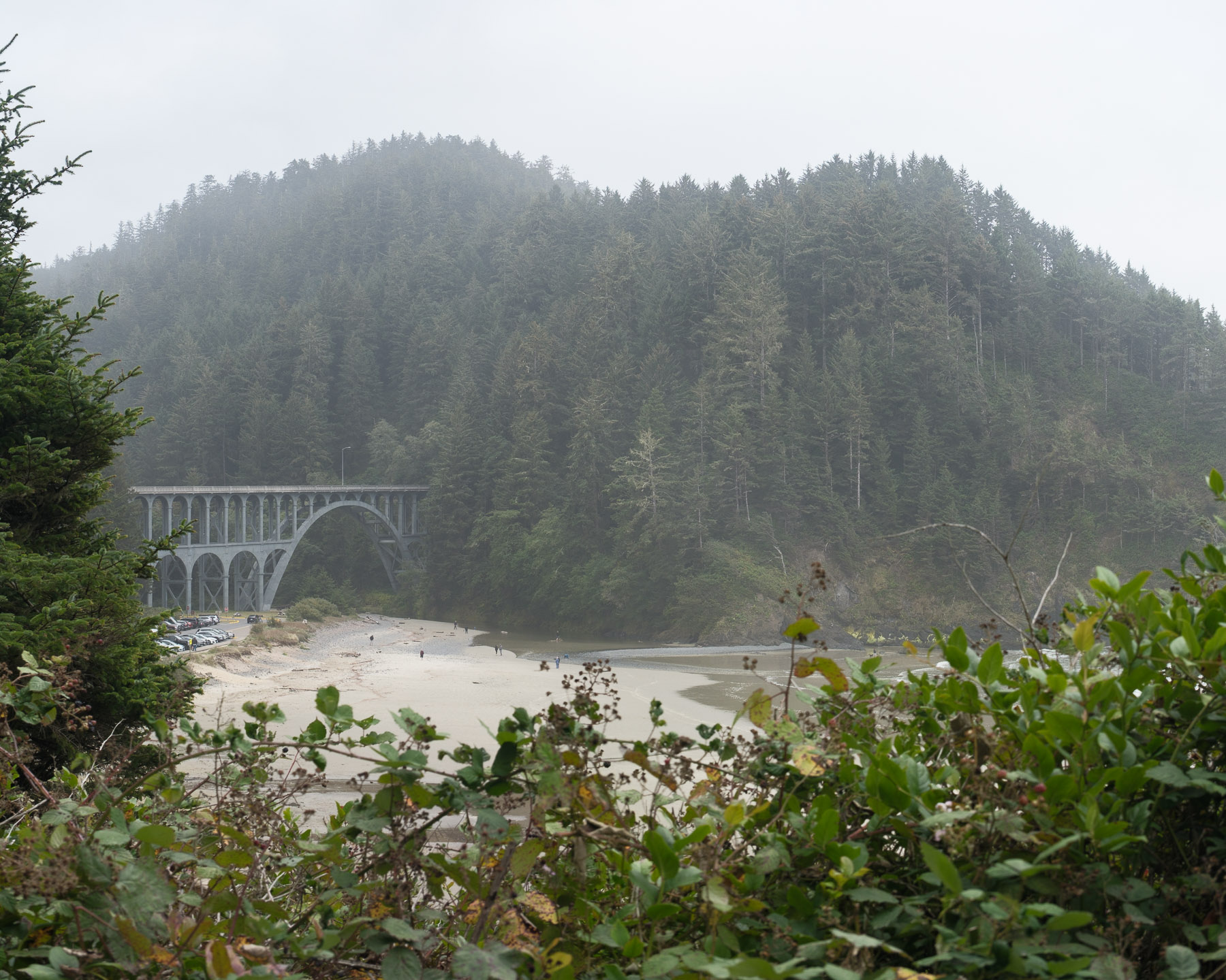Pacific Northwest Road Trip photo titled Pacific Coast 69